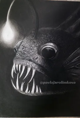 Světlo v hlubinách